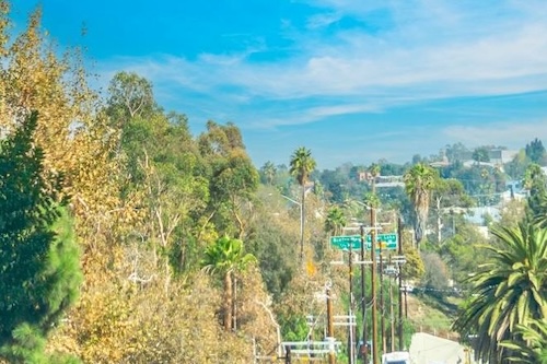East Hollywood Eats: Culture-Rich Plates, Fresh Voices & Hidden Gems