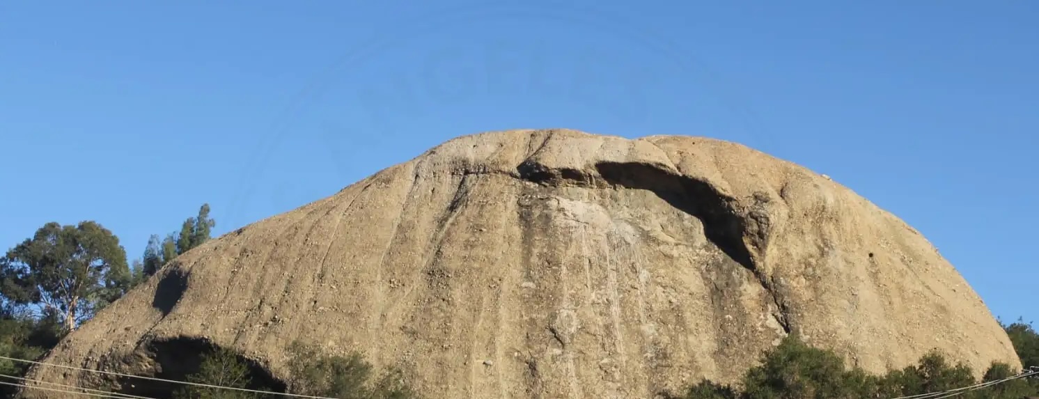 Eagle Rock Neighborhood Guide