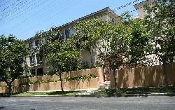 1000-westgate-10640