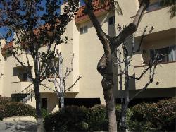 1040-n-gardner-10662