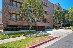 10640-wilkins-52225