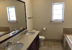10765-wilkins-39728