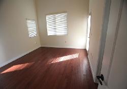 10765-wilkins-39733