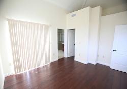 10765-wilkins-39734
