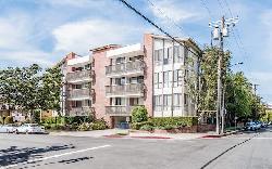 11805-mayfield-42934