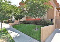 11918-avon-way-51362