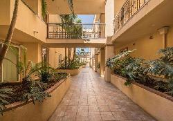 13-palms-42414