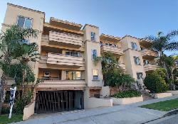 13-palms-42428
