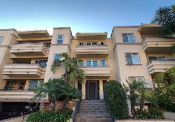13-palms-42429