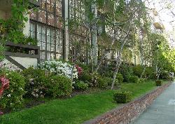 133-s-oakhurst-17295