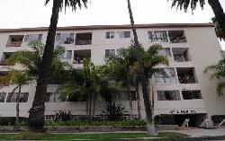 137-s-palm-19309