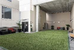 1600-vine-32105
