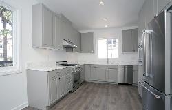 230-s-hamilton-28339