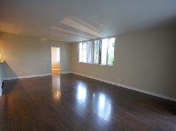 245-s-spalding-27158