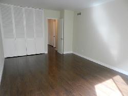 245-s-spalding-27159