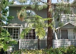 2474-centinela-10896