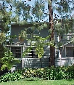 2474-centinela-10897