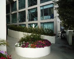 270-palisades-beach-8886