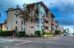 30-driftwood-17504