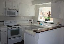 30-driftwood-17507