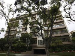 339-n-palm-dr-10904