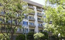339-n-palm-dr-10905