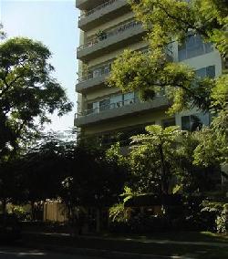 339-n-palm-dr-10906
