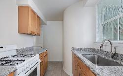 401-shirley-43847