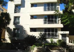 415-n-palm-15668