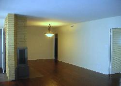 415-n-palm-15669