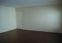 415-n-palm-15670