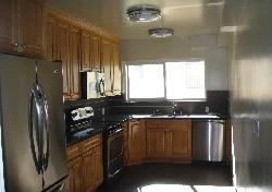 415-n-palm-15671