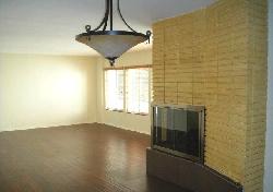 415-n-palm-15672