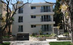 415-n-palm-15673
