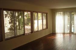 415-n-palm-15674