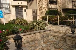 415-n-palm-15675