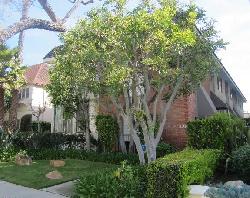 438-n-palm-15401