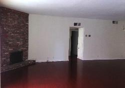 438-n-palm-15403