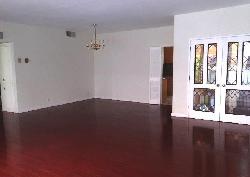 438-n-palm-15404
