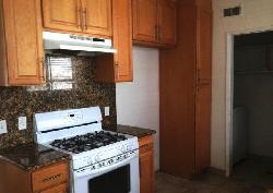 438-n-palm-15405