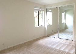 438-n-palm-15406