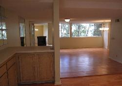441-n-oakhurst-8587