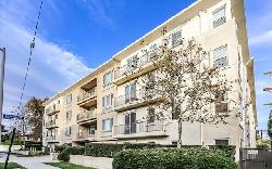 4820-bellflower-33477