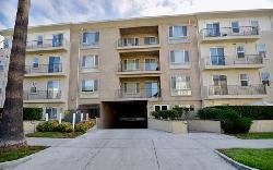 4820-bellflower-33478