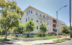 4820-bellflower-33479