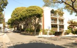 874-hammond-16318