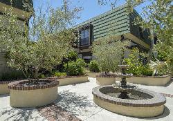 885-s-orange-grove-51136
