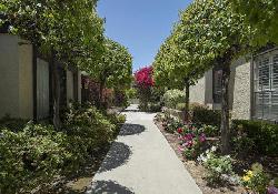 885-s-orange-grove-51137