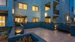 905-wilcox-37824
