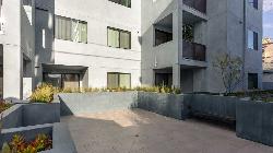 905-wilcox-37826